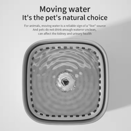 AquaBuddy™ de gadget voor jou kat