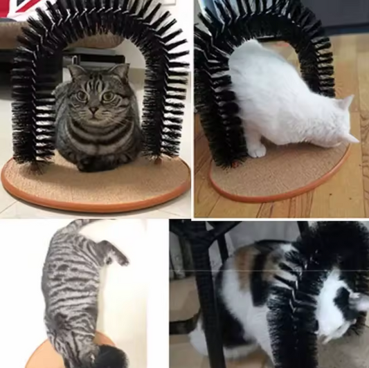 Massage Boog voor Katten | Speel & Verzorg